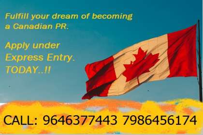 Transformers Immigration and Education Consultants, Top Canada PR consultant in Panchkula, Top Canada immigration consultant near Panchkula, Best Canada PR Consultant near Zirakpur, Most trusted immigration Consultant in Tricity, Express Entry