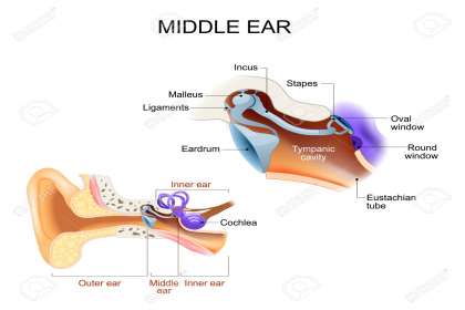 Dr. Ashutosh Dubey's Clinic , ent in baner, ent clinic in baner, ent doctors in baner, ent specialist in baner, ent surgeons in baner, ent hospitals in baner, best ent in baner, best ent clinic in baner, top ent in baner, best.