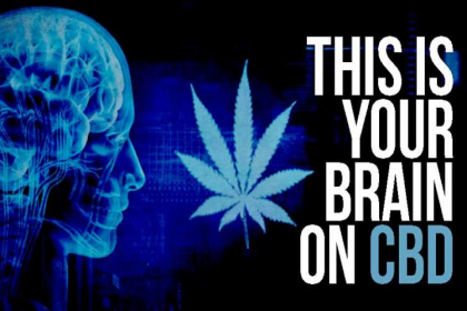 Almond Brain Academy, anxiety, cancer, cannabis, chronic pain, marijuana, pain
