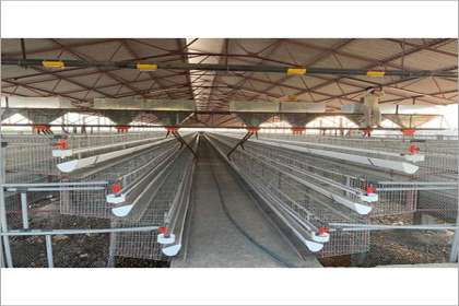 V - Tech Agro Industries, Poultry Cages In Agra, Poultry Cages Manufacturer In Agra, automatic Poultry Cages In Agra, Automatic Poultry Cages Manufacturer In Agra, Poultry Cages Agra