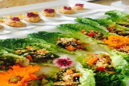 Red Tag Caterers, Best vegetarian catering service in Chandigarh, outdoor vegetarian catering service in Chandigarh, famous vegetarian catering service in Chandigarh, top vegetarian catering in Chandigarh, 