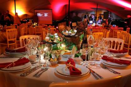 Red Tag Caterers, Catering service in Mohali, in royal banquet 