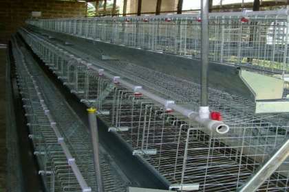 V - Tech Agro Industries, Layer Poultry Cages In Thane, Layer Poultry Cages manufacturer In Thane, best Layer Poultry Cages In Thane, Best Layer Poultry manufacturer Cages In Thane