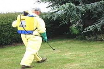 KALINKA PEST CONTROL SERVICES, PEST CONTROL IN BANER, PEST CONTROL SERVICES IN BANER, CORPORATE PEST CONTROL IN BANER, CORPORATE PEST CONTROL SERVICES IN BANER,PEST CONTROL IN BANER