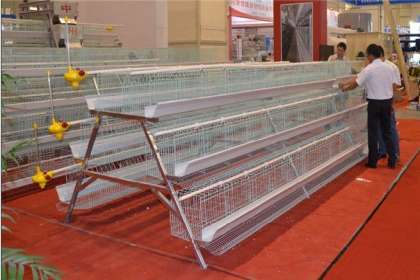 V - Tech Agro Industries, Poultry Cages In Kanpur, Poultry Cages Manufacturer In Kanpur, automatic Poultry Cages In Kanpur, Automatic Poultry Cages Manufacturer In Kanpur, Poultry Cages Kanpur
