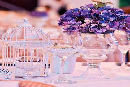 Red Tag Caterers, Top wedding planner in Chandigarh ,Best caterers and wedding planner in Chandigarh ,Royal catering services and wedding planner in Chandigarh 
