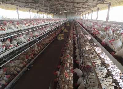 V - Tech Agro Industries Gallery Image
