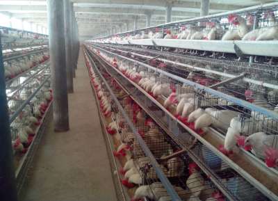 V - Tech Agro Industries Gallery Image