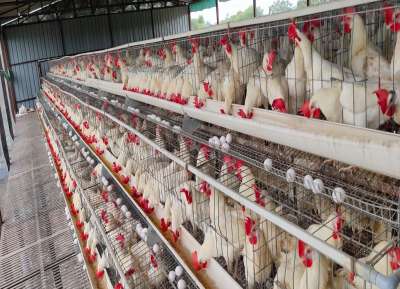 V - Tech Agro Industries Gallery Image