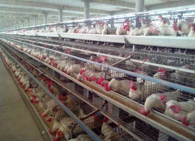 V - Tech Agro Industries Gallery Image