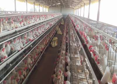 V - Tech Agro Industries Gallery Image
