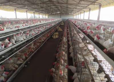 V - Tech Agro Industries Gallery Image
