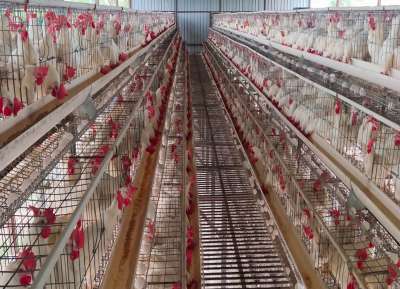 V - Tech Agro Industries Gallery Image