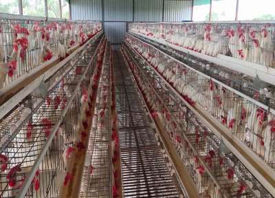 V - Tech Agro Industries Gallery Image