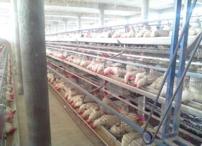 V - Tech Agro Industries Gallery Image