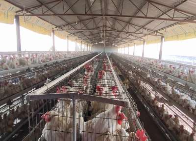 V - Tech Agro Industries Gallery Image