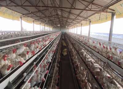 V - Tech Agro Industries Gallery Image