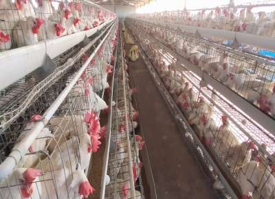 V - Tech Agro Industries Gallery Image
