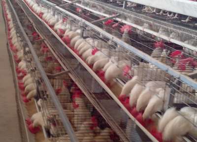 V - Tech Agro Industries Gallery Image