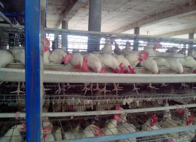 V - Tech Agro Industries Gallery Image
