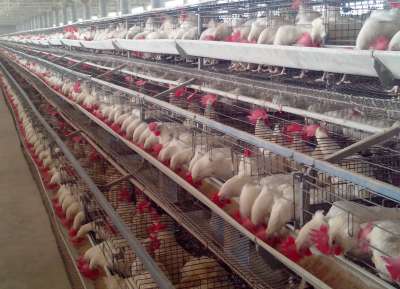 V - Tech Agro Industries Gallery Image