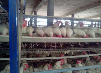V - Tech Agro Industries Gallery Image