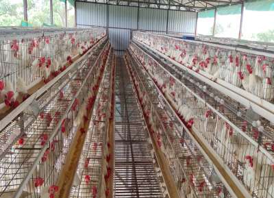 V - Tech Agro Industries Gallery Image