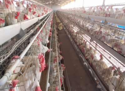 V - Tech Agro Industries Gallery Image