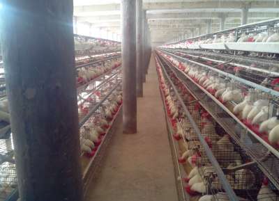V - Tech Agro Industries Gallery Image